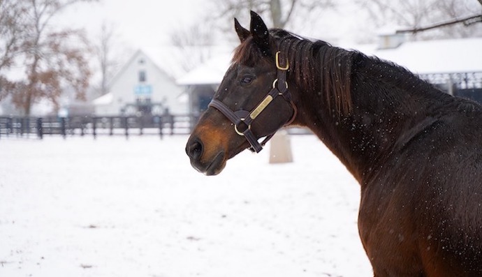 Our Top 9 Fun Things To Do With The Kids In Lexington