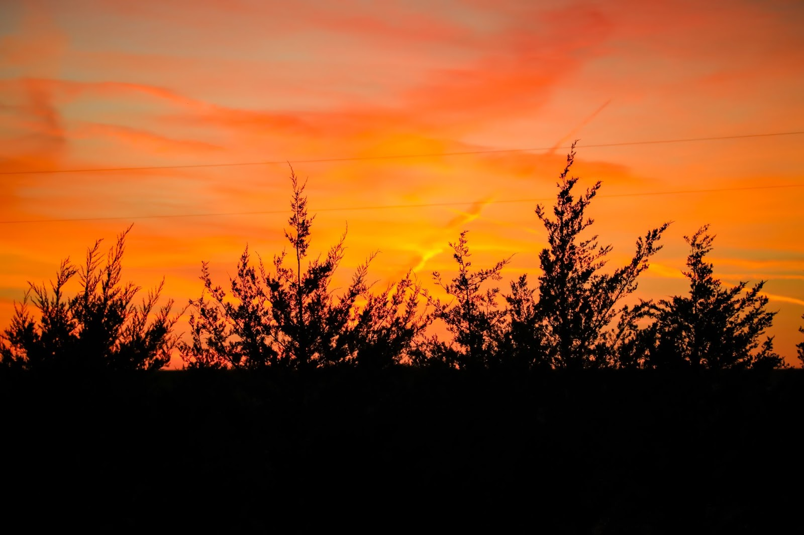 Prairie sunset view with silhouetted trees near Pheasant Run RV Park in Kansas