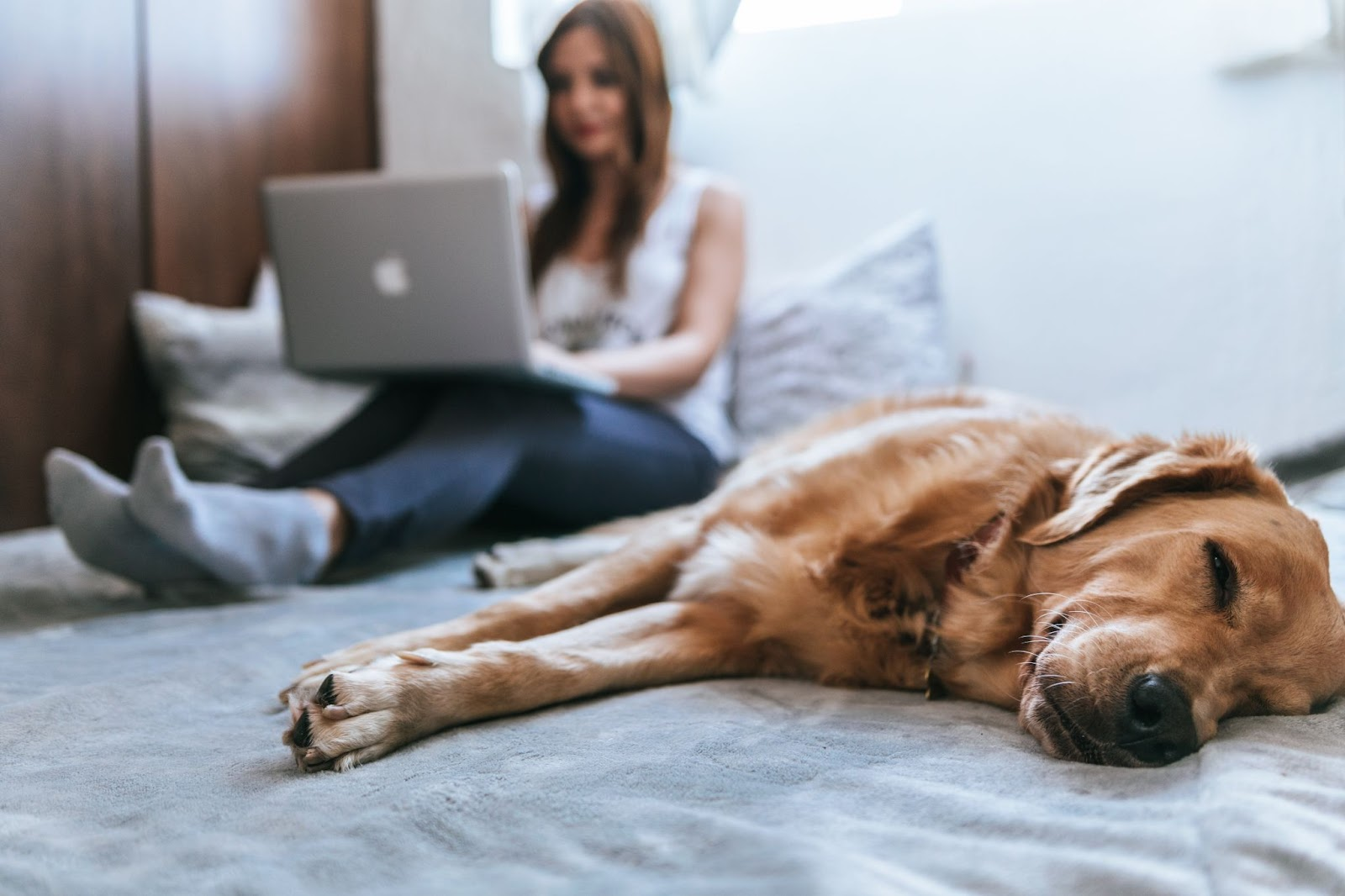 woman on laptop with pet dog