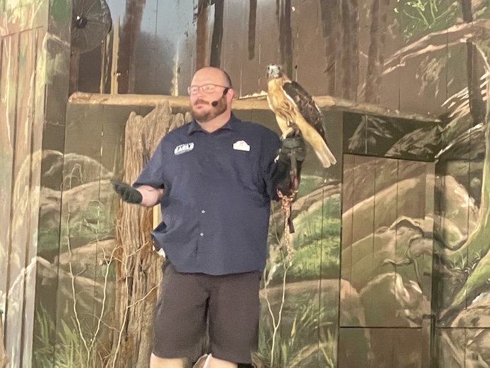 Wings of America Birds of Prey show