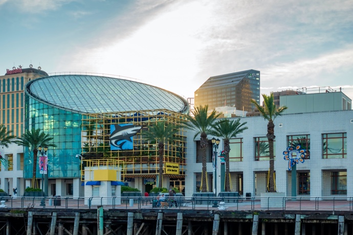 Our Top 9 Fun Things To Do With The Kids In New Orleans