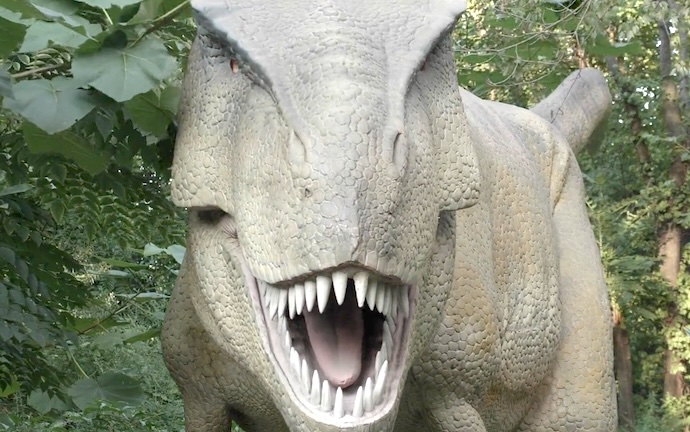 Trex close