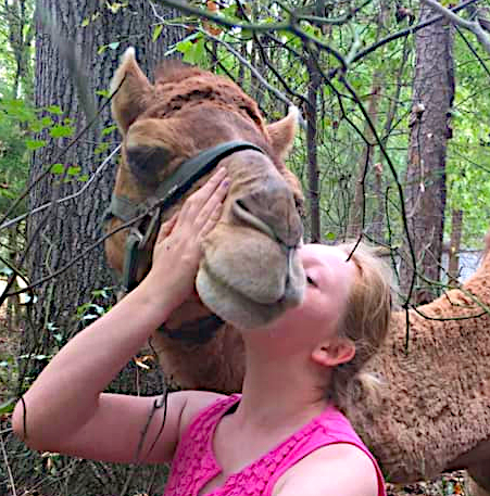 Camel kisses