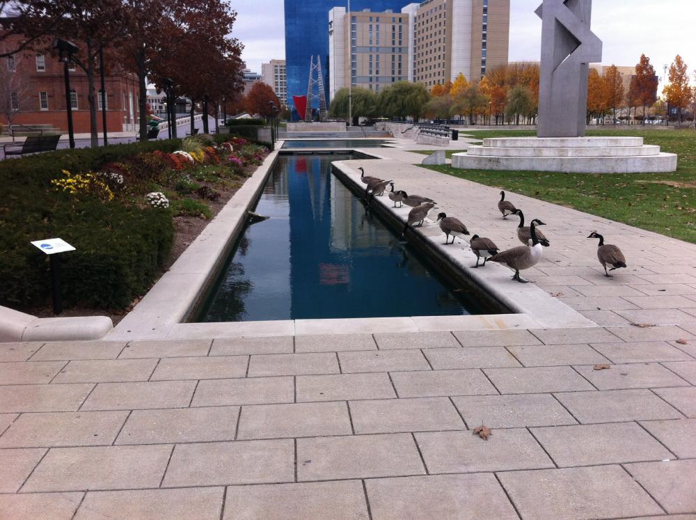 Central Canal Walk