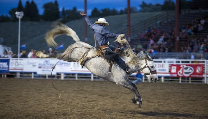 Our Top 9 Fun Things To Do With The Kids In Cody
