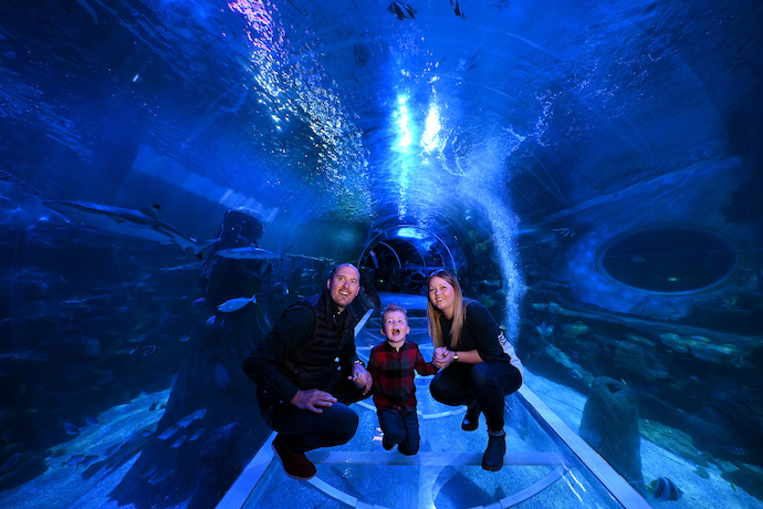family in ocean tunnel