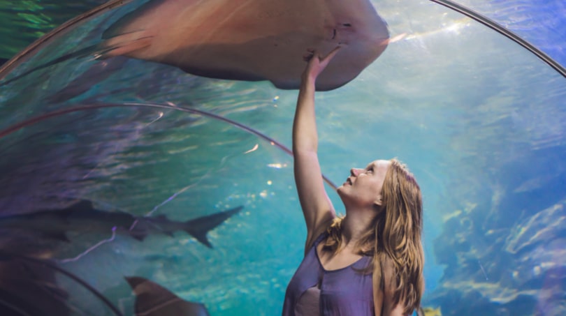 15 Fun Things to do in Los Angeles - Aquarium of the Pacific
