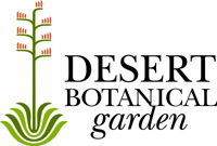 Desert Botanical Garden 