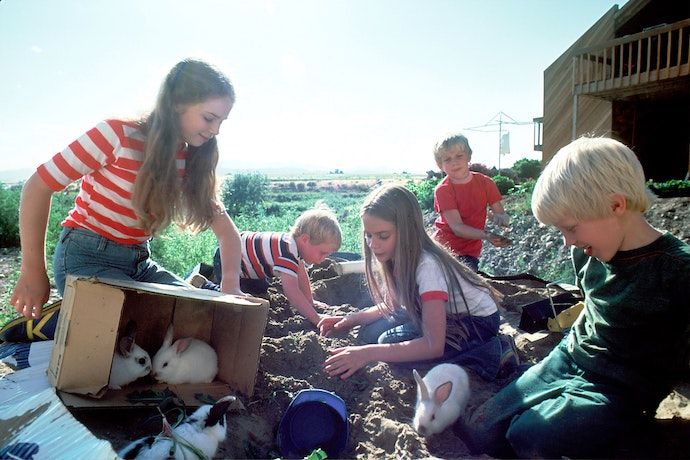 kids work together on a farm