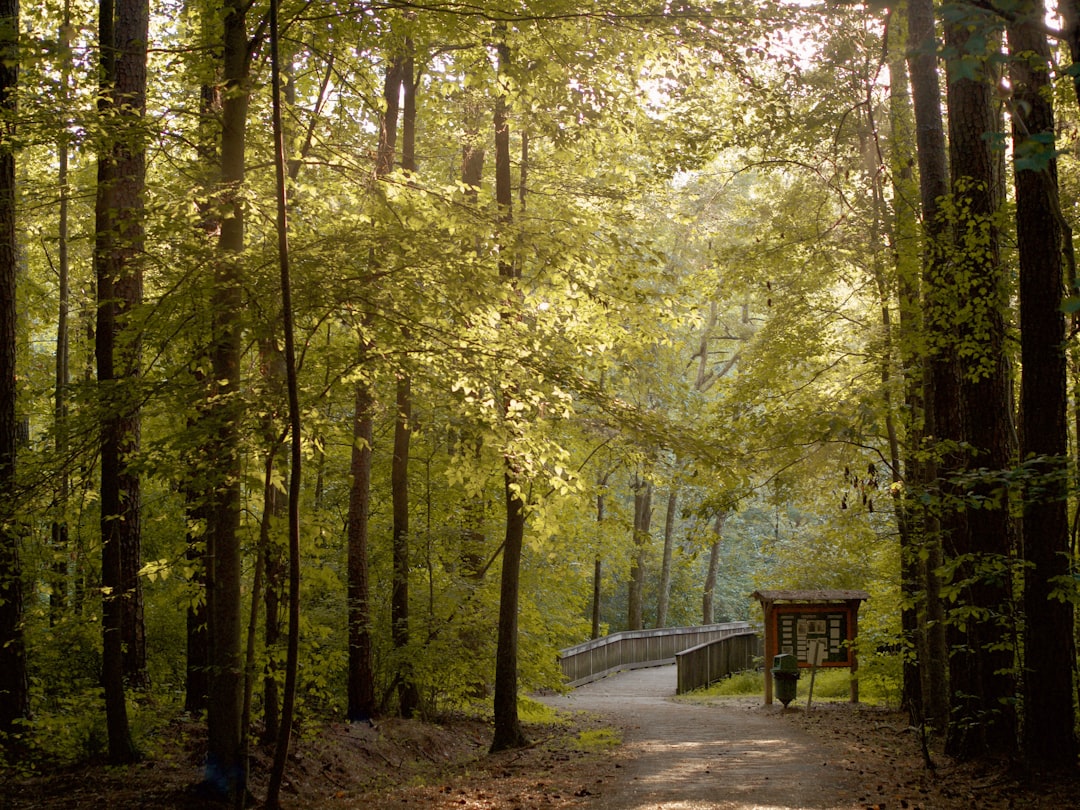 Top Fun Things for Families in Raleigh