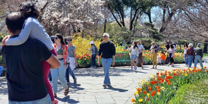 Our Top 9 Best Things to do with Kids in Dallas!