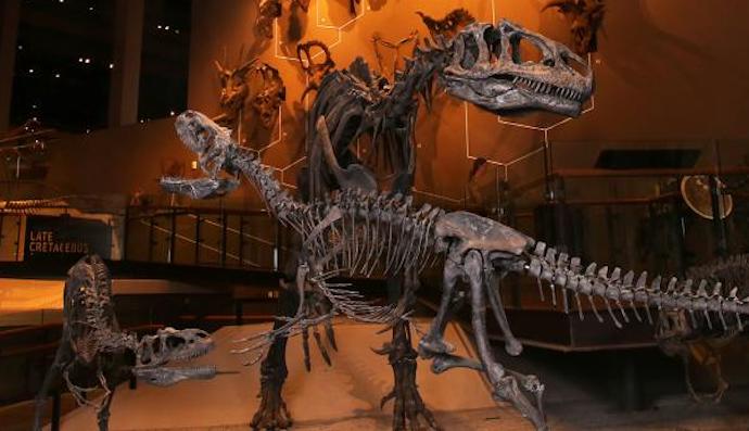 Our Top 9 Fun Things To Do With The Kids In Salt Lake City!
