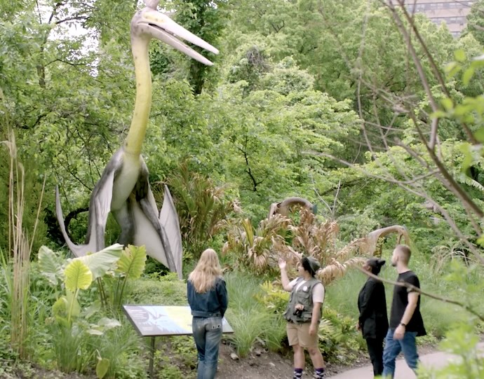 learning about dinosaurs