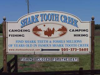 Shark tooth creek