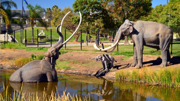 Top 9 Fun Things To Do With The Kids In Los Angeles