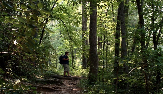 Our Top 9 Fun Things To Do With The Kids In Greenville