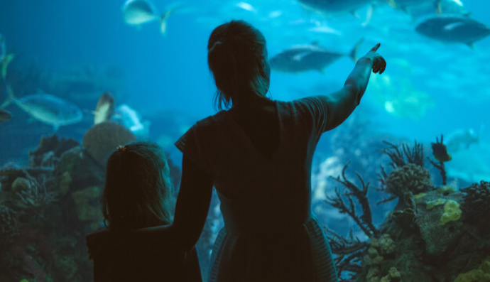 Our Top 9 Fun Things To Do With The Kids In Philadelphia