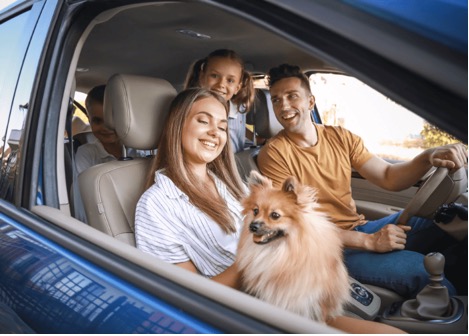 Happy Family with Dog Travelling by Car