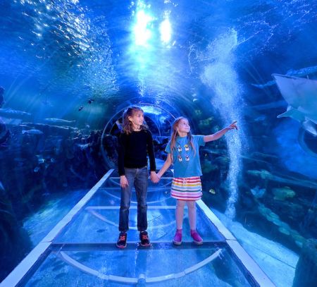 kids in tunnel enjoying fish
