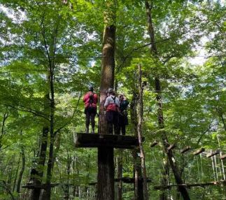 mountain ridge adventure zipline treetop canopy