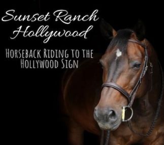 sunset ranch hollywood horse riding