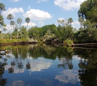 econfina river state park florida adventure kayaking canoeing and more