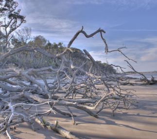 big talbot island state park florida kayaking nature trails for kids