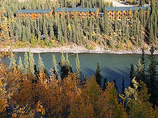 Denali grizzly bear resort