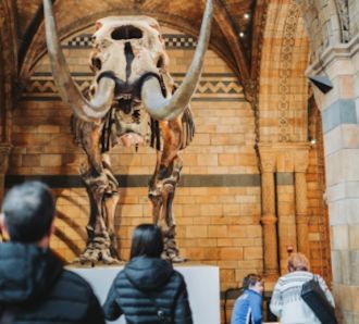 Museum visit
