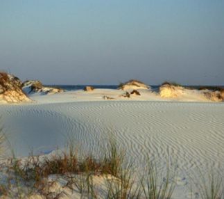deer lake state park florida sand dunes nature filled fun for kids