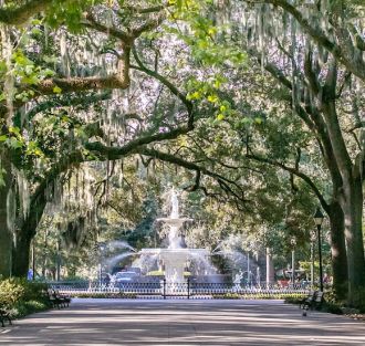 The Best Family Savannah City Guide