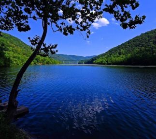 Bluestone state park