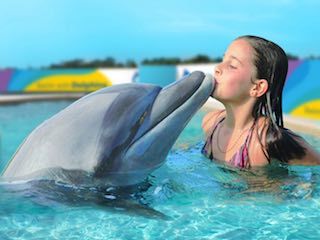 Gulf world marine park