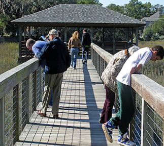 coastal discovery museum south carolina