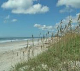 gulf state park alabama outdoor beaches family fun