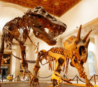 Natural History Museum of Los Angeles