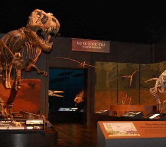 tellus science museum