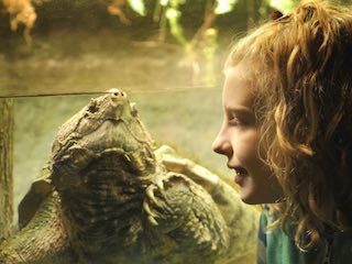 Reptiland