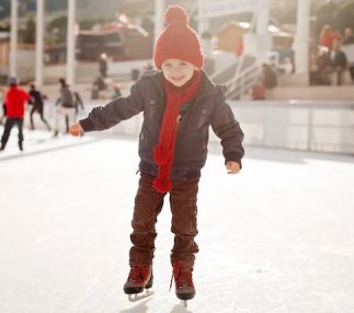 mountain view ice arena
