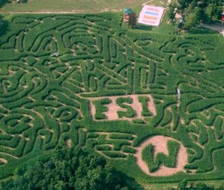Maize_adventure_