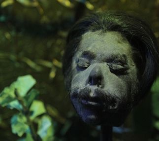 ripley's believe it or not south carolina myrtle beach