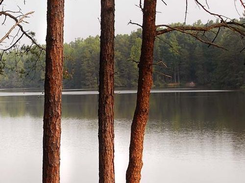lake norman state park north carolina fun outdoors adventure for kids with swimming hiking and biking