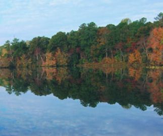 Lums pond state park