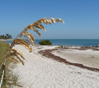 curry hammock state park florida ecosystem hiking kayaking for kids