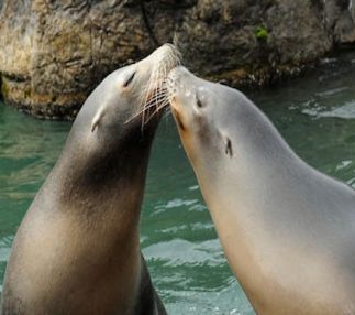 prospect park brooklyn new york zoos for kids