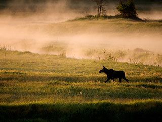 Kootenai National Wildlife Refuge