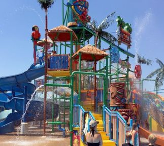 hawaiian falls the colony