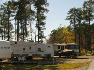 Littleeagle