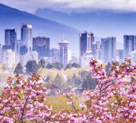 vancouver city guide vancouver canada cherry blossoms vancouver skyline