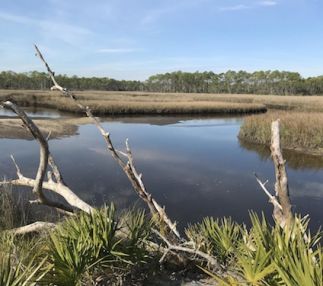 bald eagle state park florida hiking swimming kayaking and more